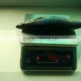 Best Price Frozen Atlantic Mackerel for Wholesale thumbnail-2