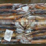 New Arrival Frozen Squid Chocolate Illex Argentina Squid thumbnail-1