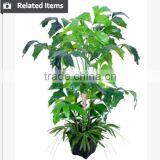 Artificial Indoor Plants and Trees for Home and Garden Decoration Evergreen Ornamental Plants thumbnail-3