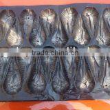 Laizhou High Quality PP 29*39CM Plastic Fruit Liner Tray thumbnail-4