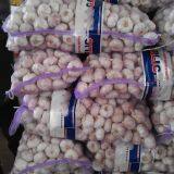 4.5-5cm, 5.5cm-6cm Ajo Blanco Normal Fresco Chino Con Embalaje Cajas de Cartón thumbnail-5