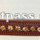 Leather Browband