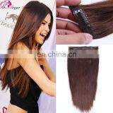 Express Cheap Clip in Malaysian Hair Extensions