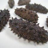 High Quality Industrical Hot Air Electric Drying Oven Drying Machine For Dried Abalone Sea Food thumbnail-2