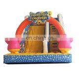 Latest Craze Used Commercial Water Slides, Inflatable Water Toys, Giant Inflatable Water Slide for Adult