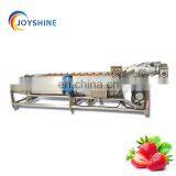 Commercial Used Vegetable Washer Leaf Vegetable Bubble Washing Machine With Control Panel thumbnail-6