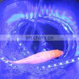 AC110V 120V 220V 240V RGB Flexible Color Changing Led Strip Lights With Remote thumbnail-4