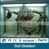 JLDF-G-0026 Hot Sell Fiberglass Bull Skeleton