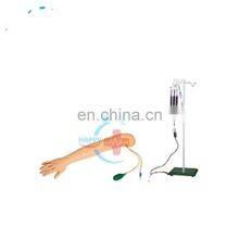 HC-S148 Medical Training Arm Injection Model/human Body Artery Arm Injection Training Model thumbnail-1