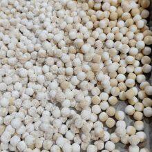 FY-006 Тайваньская машина для производства жемчуга из тапиоки, Sabudana (Sago) тапиока боба внутри фабрики thumbnail-2