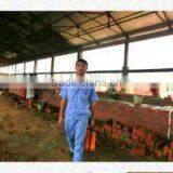 Good Design Tunnel Dryer for Fired Brick Drying thumbnail-2