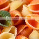 CE Approved Italian Pasta Processing Line thumbnail-4