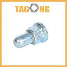 Zinc Plated Carbon Steel Nut DIN1587 DIN917 Acorn Nut Capping Nut