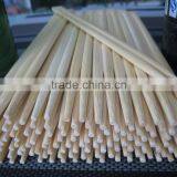 Spoon and Chopstick Set