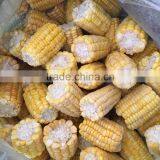 Frozen Sweet Corn Kernel thumbnail-1