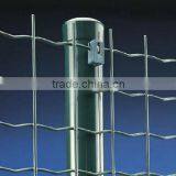 1/2 Inch Square Hole Green Plastic Vinyl Coated Welded Wire Mesh Fence