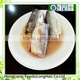 Rich nutrition popular sardines canned fish