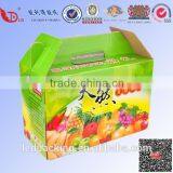 Beautiful Colorful Carton Box for Packing Fruit