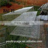Metal Wire Mesh Layer Quail Broiler Cage For Sale( Now or Never ) thumbnail-4