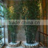 2016 New Artificial Ornamental Bamboo Plant