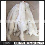 Gold Supplier China The White Fox thumbnail-6