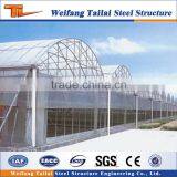 Multi-storey Steel Structure building construction