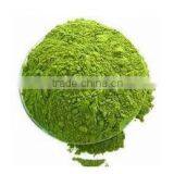 Natural Superior Quality Moringa Leaf Powder thumbnail-1