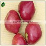 Chinese lowest price fruit huaniu apple