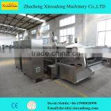 8500 large siries continuous frying machine