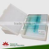 Microbiology Prepared Slides Bacteria Slides Set