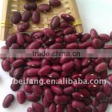 Dark Red Kidney Beans 2011 crop, Yunnan origin, Hps)
