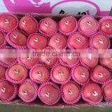 Fuji Apples Wholesale Fruit Prices thumbnail-2