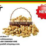 Good Salted Roasted Peanut in Shell thumbnail-6