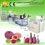 PE Fruit Foam Packing Net Extruder thumbnail-1