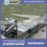 High Quality Net Belt Vegetable Blanching Machine thumbnail-4