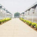 150micron Plastic Film Greenhouse for Agriculture Planting Vegetale thumbnail-4