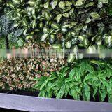 Anti UV/fire Fake Plant Wall Decoration Artificial Succulent Plant Wall Subtropical Plant Wall thumbnail-3