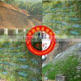 Slope Protection Engineering Geo Bag thumbnail-1