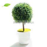 GNW GP020 Unique Artificial Coloured Plastic Plant Pots for Office Decoration thumbnail-3