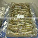 Frozen Crab Whole thumbnail-1