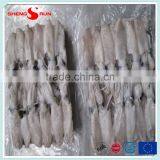 BQF Baby Squid Block Frozen thumbnail-1