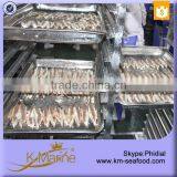 Hot Sale With Dark Meat Frozen Fish Fillets thumbnail-1