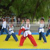 Professional Taekwondo Mats Karate Mats Judo Mats Interlcoking Mats thumbnail-5