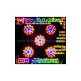 Newest 2013 75x3W Platinum 100% Reflection Led Grow Light Hydroponics thumbnail-2