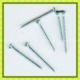 Special Furniture Chipboard Screw in China thumbnail-1
