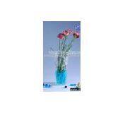 Clear Glass Vase thumbnail-1