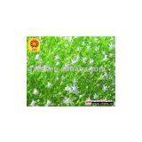 Vanilla Fragrance thumbnail-1