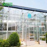 China greenhouse new condition photovoltaic glass greenhouses