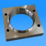 Professional Production of SS316L Forging Method Orchid thumbnail-1