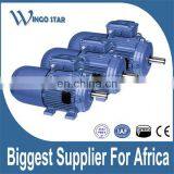 CAG HGIE2 Cast Iron Frame Three Phase Electric AC Induction Motor thumbnail-4